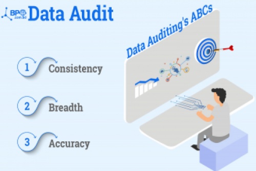 why-is-data-auditing-so-important-by-bpo-service-bd-blogulr